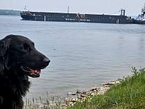 20250607_1huron_spirit_sharonm1_uptolittlecurrent.jpg