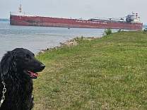 20250607_2rt_hon_paul_j_martin_uptosuperior.jpg