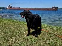 20250707_4mesabi_miner.jpg