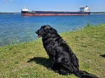 20250707_5capt_henry_jackman_totbay.jpg