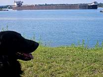 20250708_3american_integrity_togary.jpg
