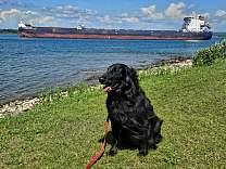 20250709_3algoma_harverter_tosuperior.jpg