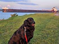 20250709_4amerrican_spirit_toduluth.jpg