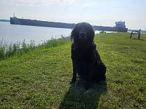 20250709_edgar_b_speer.jpg