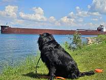 20250709_prt.jpg