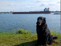 20250710_1thunder_bay_uptbay.jpg