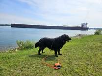 20250711_walter_j_accarthy_jr_to2harbors.jpg