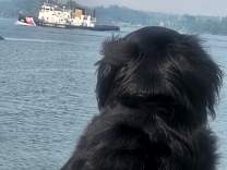 20250713_1katmai_bay_tossm.jpg