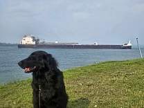 20250713_2algoma_conveyor_togoderich.jpg