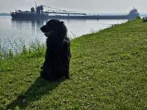20250714_1kaye_e_barker_todetroit.jpg