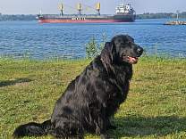 20250714_8harvest_spirit_totbay.jpg