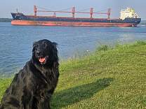 20250714_9helena_g_totbay.jpg