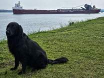 20250715_1frontenac_totbay.jpg