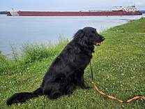 20250715_3presque_isle_tosuperior.jpg