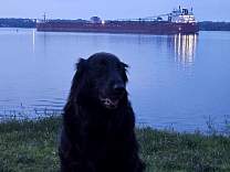 20250715_5csl_niagara_tossmontario.jpg