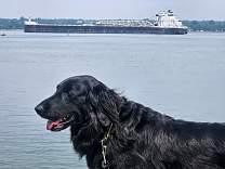 20250716_2american_mariner_tomqt.jpg