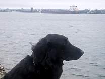 20250716_4algoma_strongfield_totbay.jpg