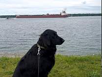20250717_4mesabi_miner_tosilverbay.jpg