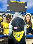 20201031_michiganstadium.jpg