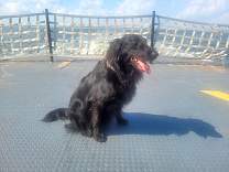 20230814_1ferrytoocracoke.jpg