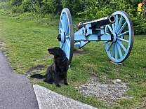 20250712_202719.jpg