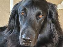 20220330_163029.jpg