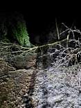 20230222drivewayhome.jpg