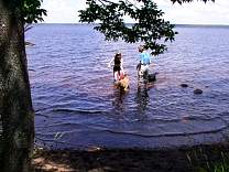 0705lakegogebicswim.jpg