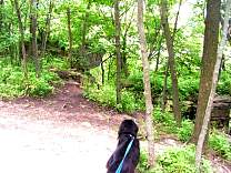 High Cliffs State Park near Appleton, WI