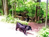 High Cliffs State Park near Appleton, WIg