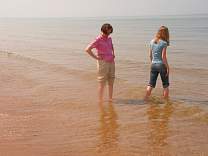Lake Michigan from Hoffmaster State Park