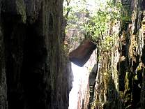 Canyon on path to the Pictographs