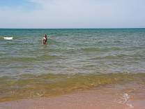 0401ludington.jpg