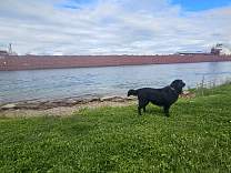 20240609_181805.jpg
