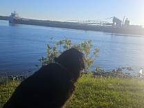 20240611_070546.jpg