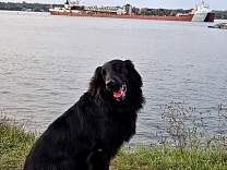 20230925_192719.jpg