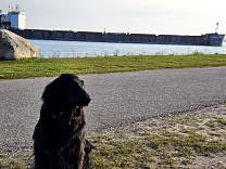 20230926_092115.jpg