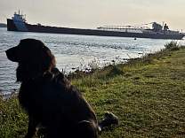 20230927_084453.jpg