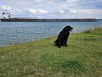 20230927_135239.jpg