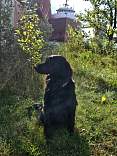 20230929_103038.jpg