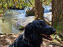 20231001_131300.jpg