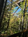 20231001_154332.jpg