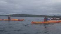 20200710_5kayak.jpg