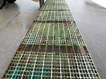 02full40footgratingsection.jpg