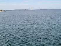 20221005_160344.jpg