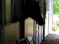 Party at Shanes house