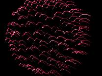 0333fireworks.jpg