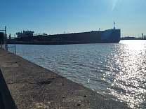 20220320_174159.jpg