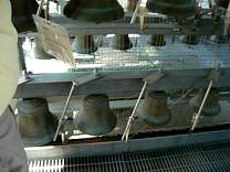 0213carillonbells.jpg